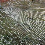 windshield replacement cost